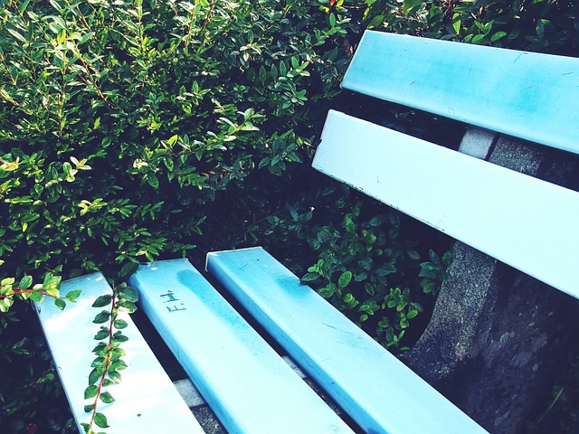 球在国际赛 球在国际赛