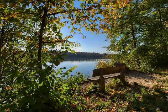 得球队能占 得球队能占