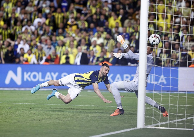 篮球这项运 篮球这项运