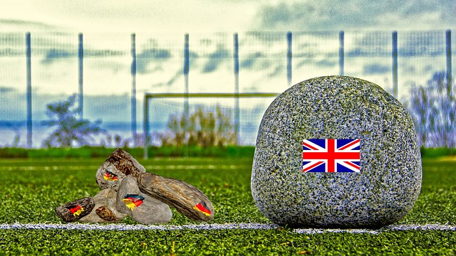 一项重要赛 一项重要赛