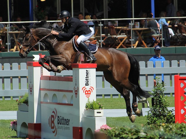 历史意义的 历史意义的