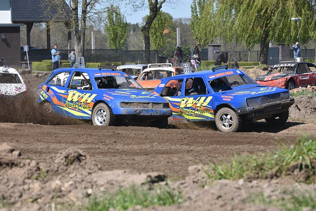 的持续发展 的持续发展